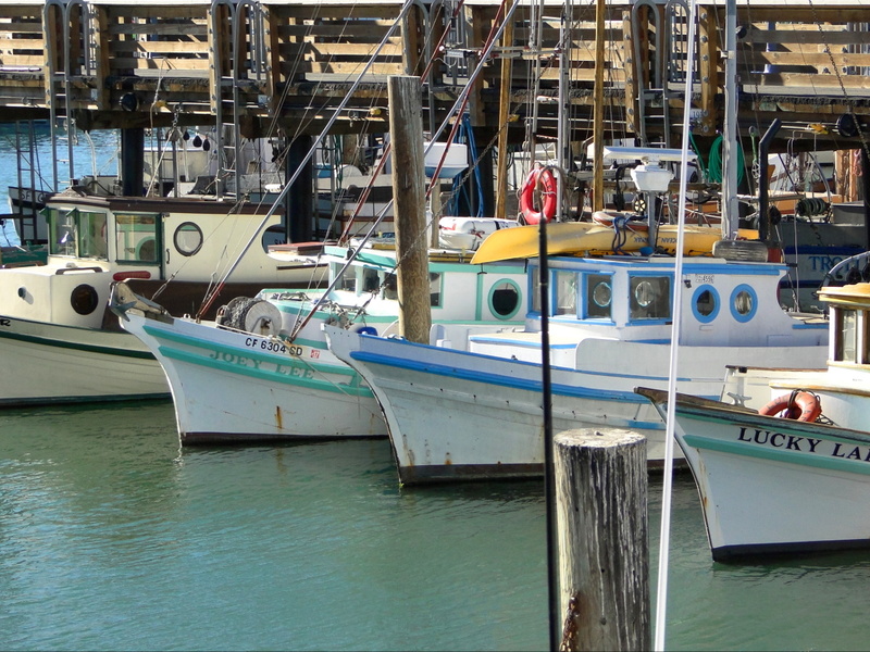 Colorful Boats at a San Francisco Dock