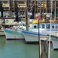 Colorful Boats at a San Francisco Dock