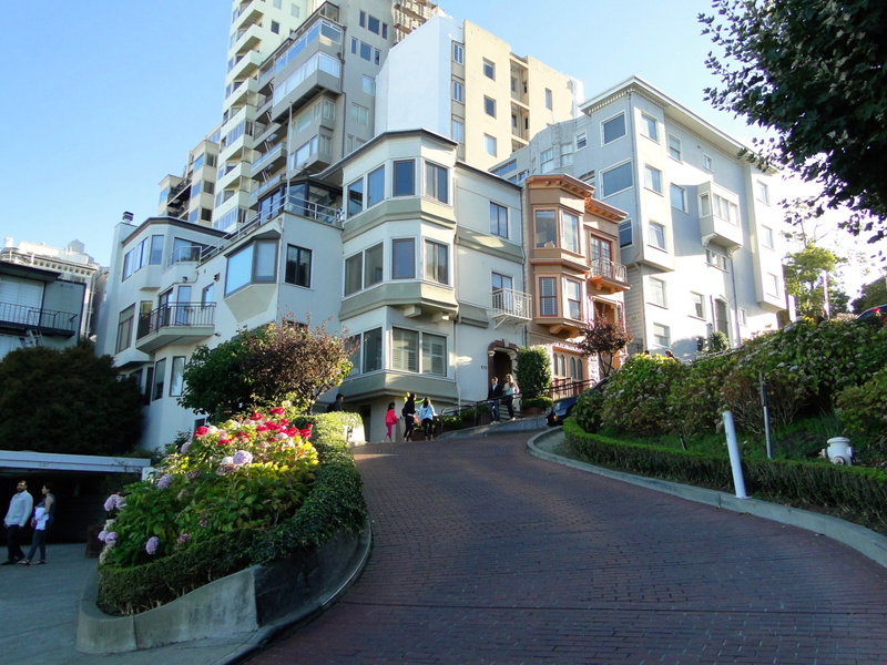 A serene residential neighborhood in San Francisco, California.