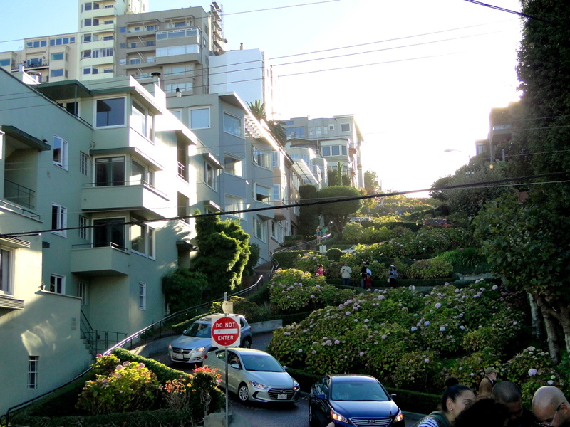 Residential Street in San Francisco