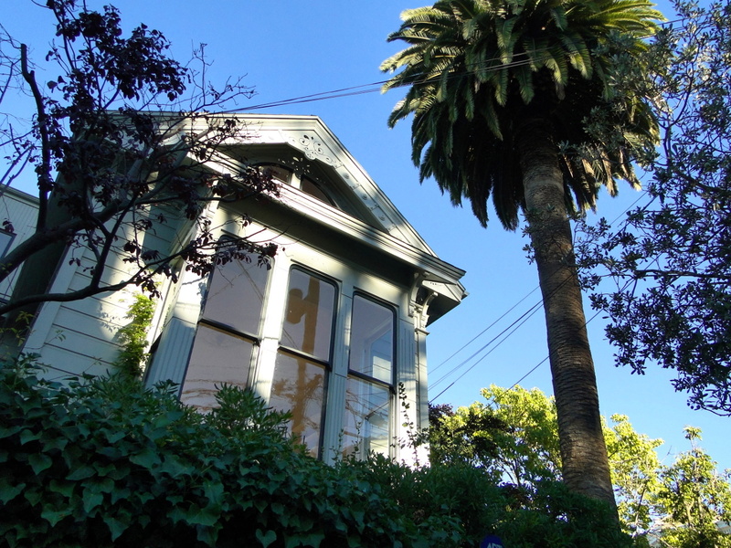 Quaint San Francisco House with Palm Trees and Blue Sky