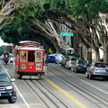 A Day in San Francisco: Trams and Trees along the Street