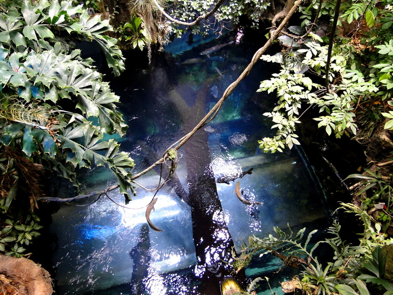 Exploring the Underwater Cave: A Hidden Treasure of San Francisco