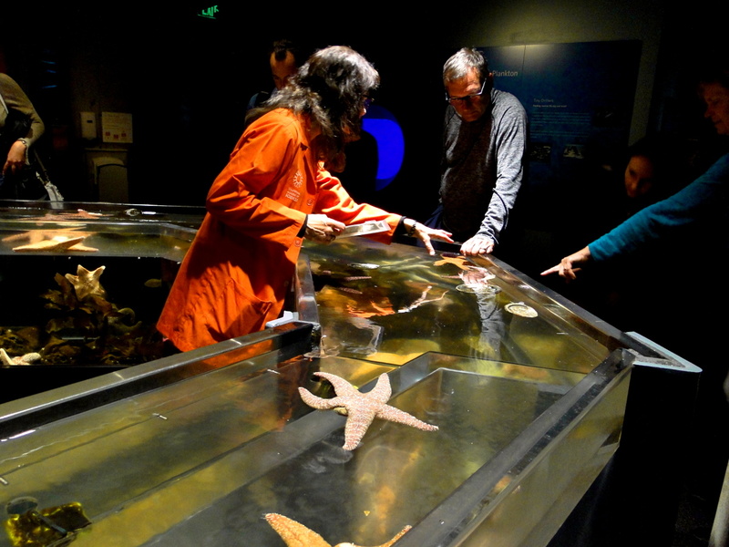 Interactive Aquarium Experience in San Francisco