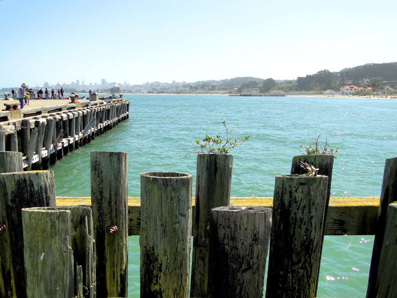 A picturesque scene from the pier in San Francisco, showcasing the calm water of the harbor under a clear sky. The wooden posts provide a sense of structure and safety as they stretch out into the sea. DSC09209.JPG