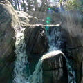 Serene Waterfall Amidst a Forested Area
