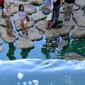 A Lively Scene in San Francisco's Park: A Group of People Enjoying a Day Out