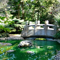 Serene Zen Garden in San Francisco