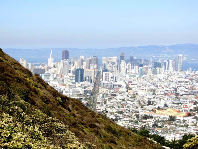 This image captures the breathtaking view of San Francisco, California. The perspective is from a high vantage point on a hill, providing a panoramic view of the city. In the foreground, there's lush greenery, while in the background, one can see the iconic downtown skyline of San Francisco. The weather appears to be sunny and clear, which adds to the vibrant colors of the buildings and the natural beauty of the surrounding landscape. DSC09502.JPG