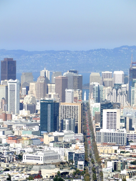 Urban Skyline with San Francisco Landmarks