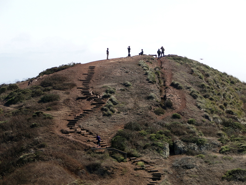 This image depicts a popular hiking trail located in the hills near San Francisco, California. The trail consists of wooden steps and walkways that lead up to an observation deck at the peak of the hill. The lush greenery around the trail suggests it's during the spring or summer season. A few visitors can be seen enjoying their hike on this clear day. DSC09497.JPG