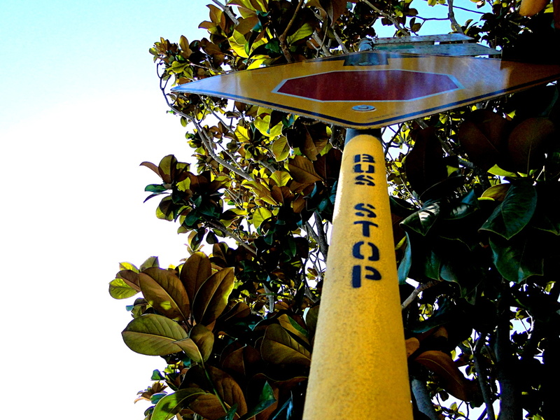 Street Sign at an Intersection in San Francisco