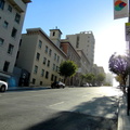 Calm Morning in San Francisco's Residential District