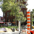 Vaporizing Steam from a Vent on the Side of a Road in New York City