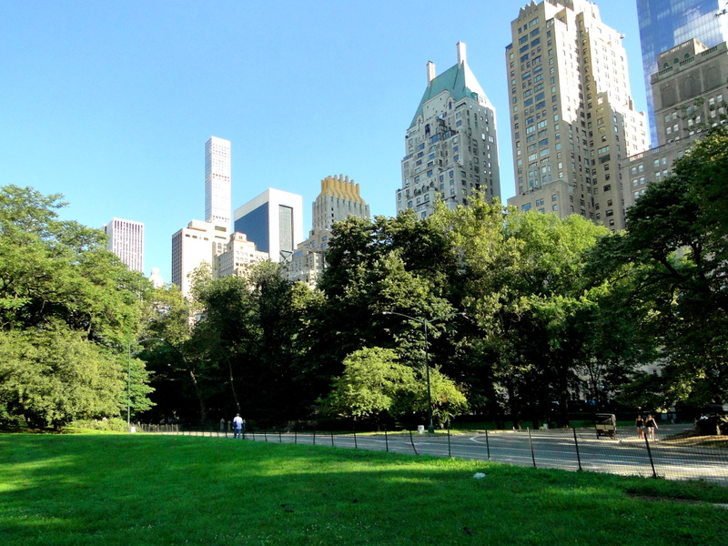 Vibrant Cityscape with Central Park at Its Heart