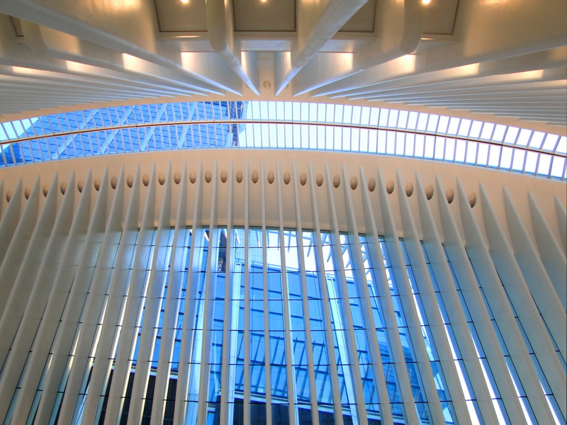 Exploring the Atrium of a Modern Skyscraper in New York