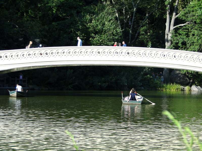 A Serene Scene of Boating on a River in New York, USA
