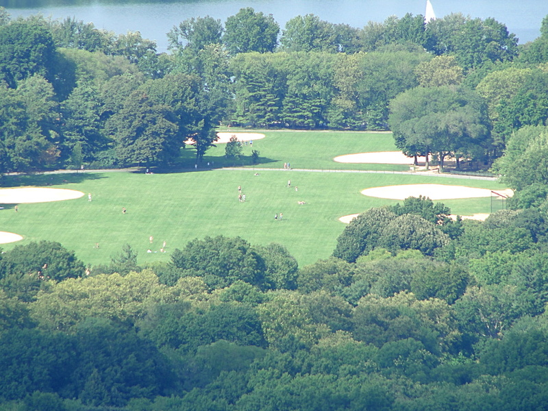 Overview of a Golf Course with People Playing