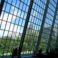 A View from Inside a Modern Architectural Space with Large Windows