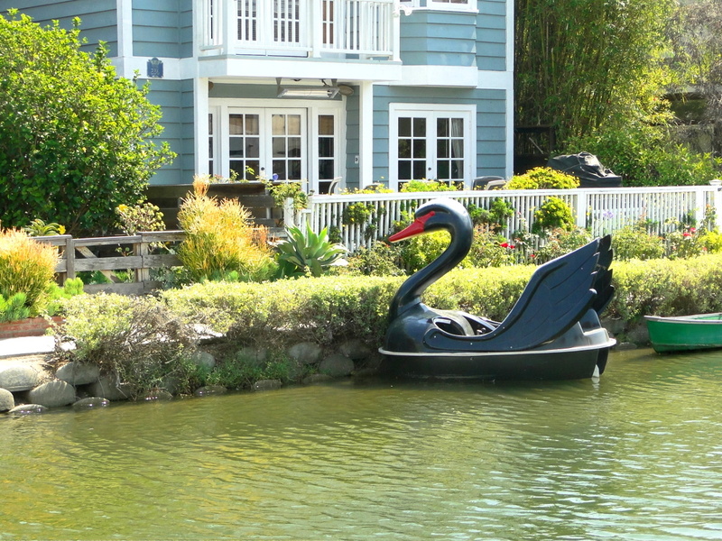Swan Boat on a Calm Lake