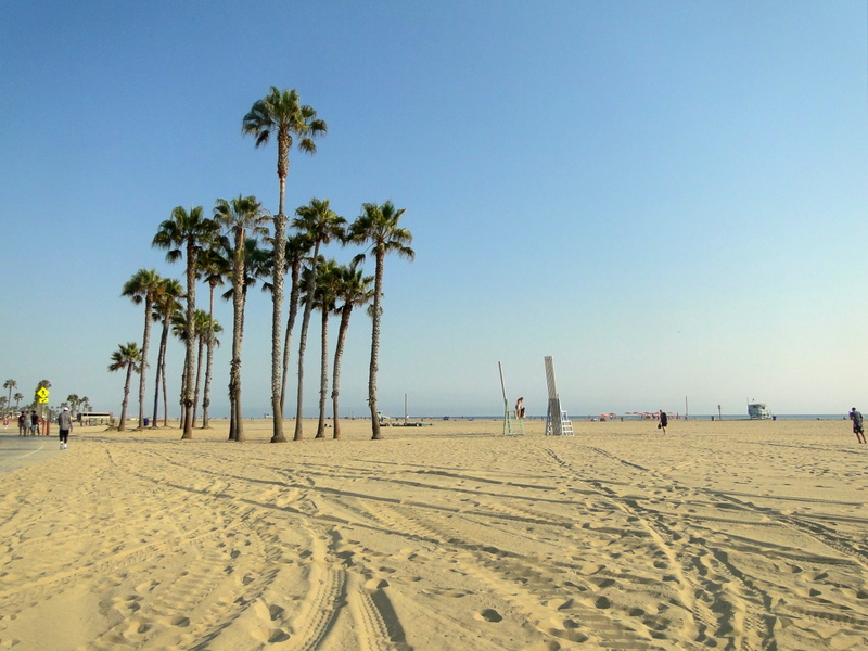 Serene Beach Scenery at Los Angeles
