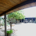 Academic Entrance Walkway with Benches and Archway