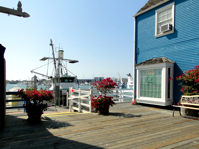 Serene Harbor Scene