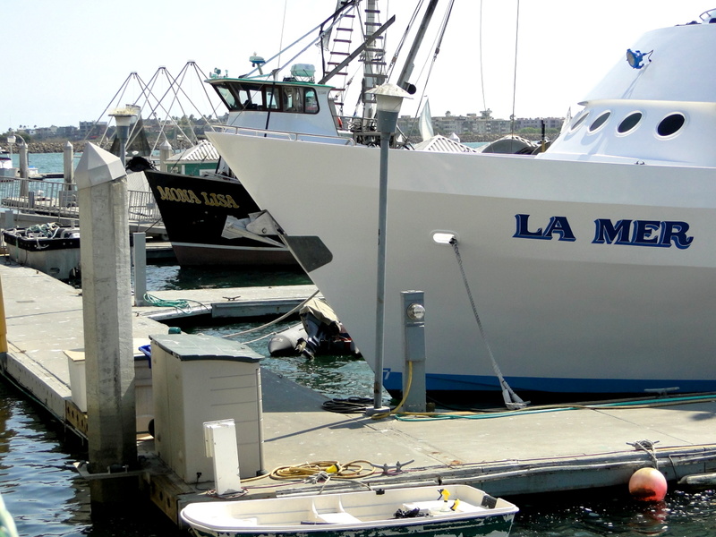 A Marina Scene with a Laboratory Dock and Boats