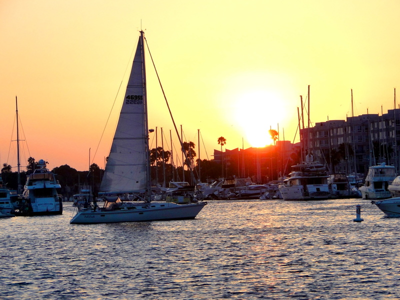 Serene Sunset Cruise at the Marina
