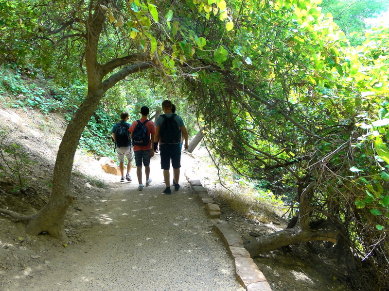 Exploring Nature's Path: A Hiking Adventure