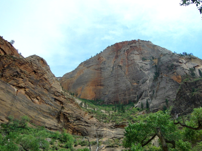 Zion National Park - The Majestic Angels Rest Scene