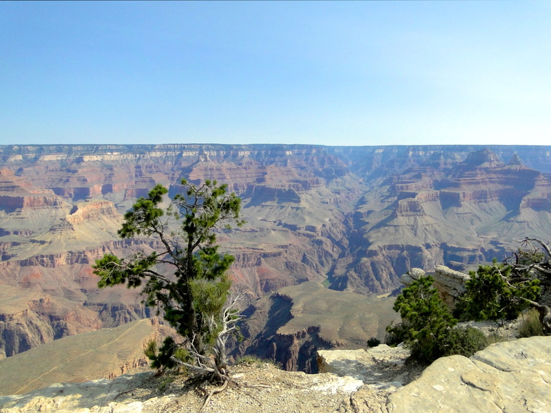 Grand Canyon Overlook