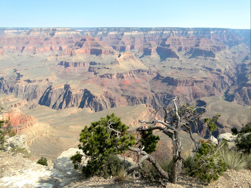 Grand Canyon Overlook: A Hiker's Paradise