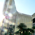 Vibrant Las Vegas Strip: Caesars Palace and Flamingo Hotel