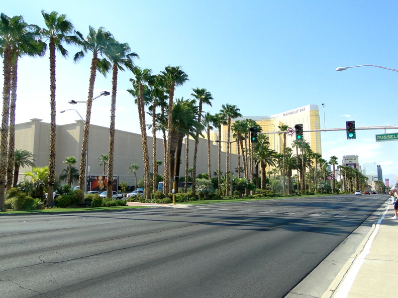 DSC07283.JPG