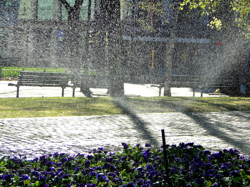 A Rainy Day in the City