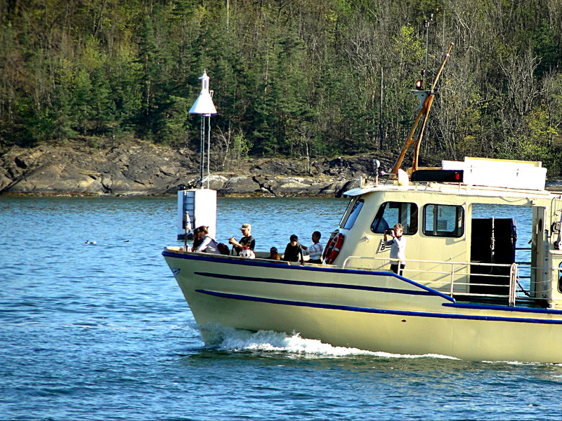 Leisurely Ferry Ride on the Water