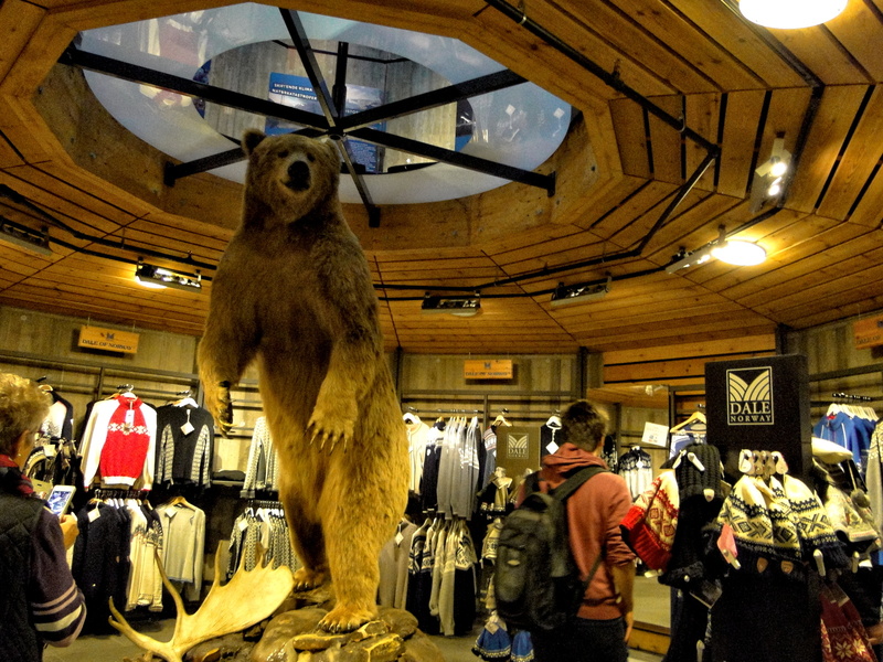 Vintage Sports Memorabilia Display with Bear Mascot Statue in Museum