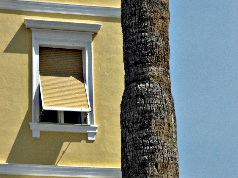 Villa Window with Palm Trees in the Background