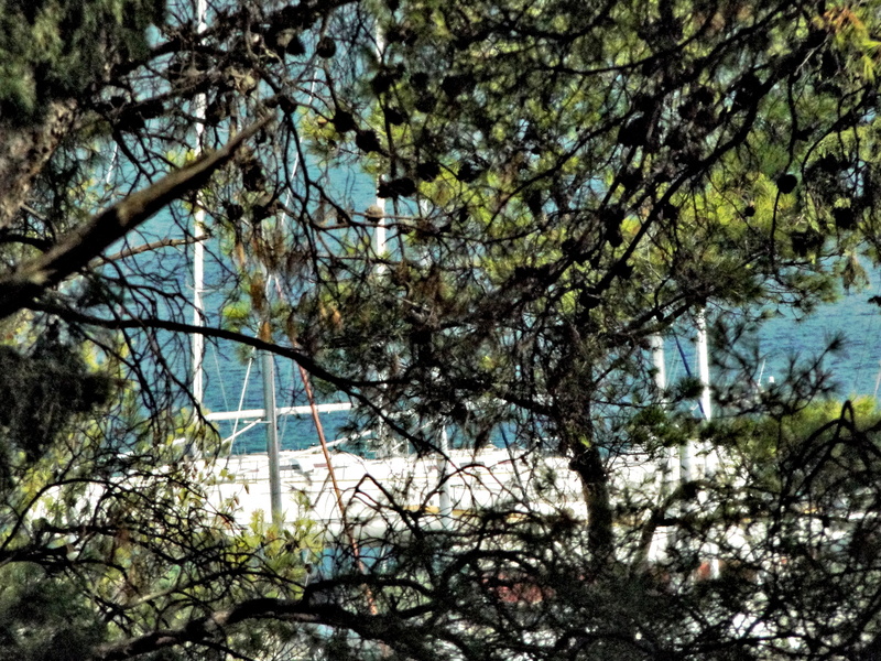 Serene Marine Vessel in a Shaded Harbor