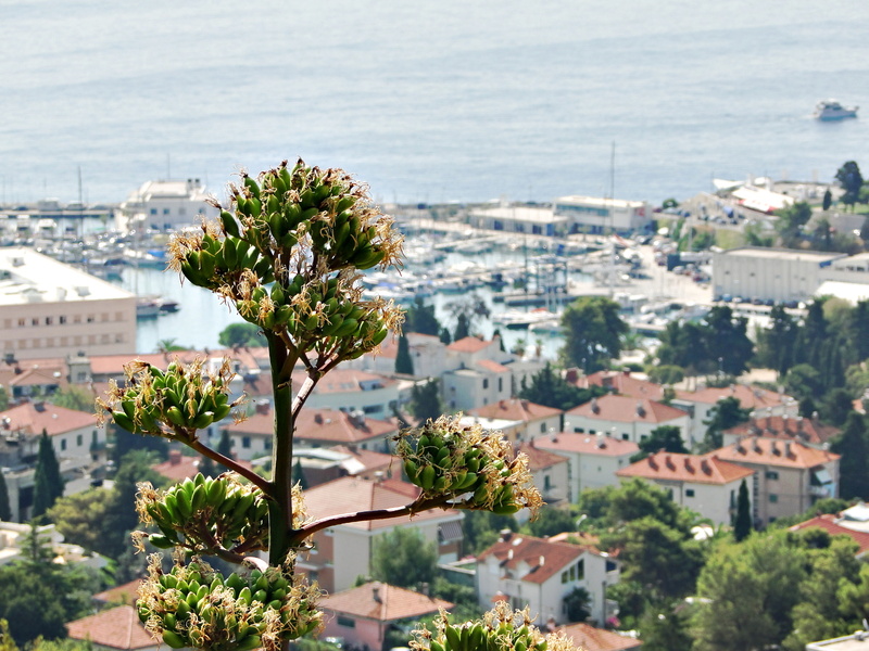 Croatian Coastline Overlook from High Vantage Point