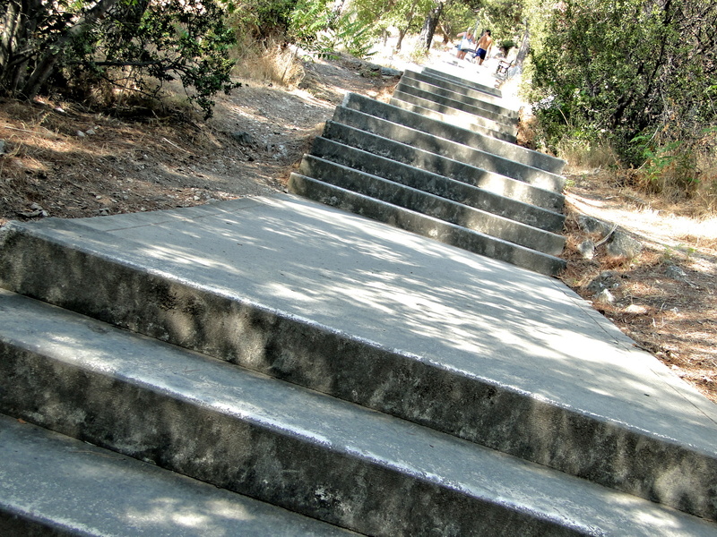 A Rustic Stairwell Through the Wilderness