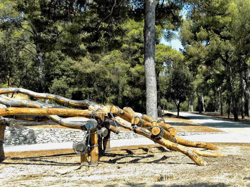 Equestrian Jump Training Area in a Rural Setting