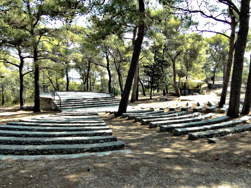 Abandoned Amphitheater in a Forest