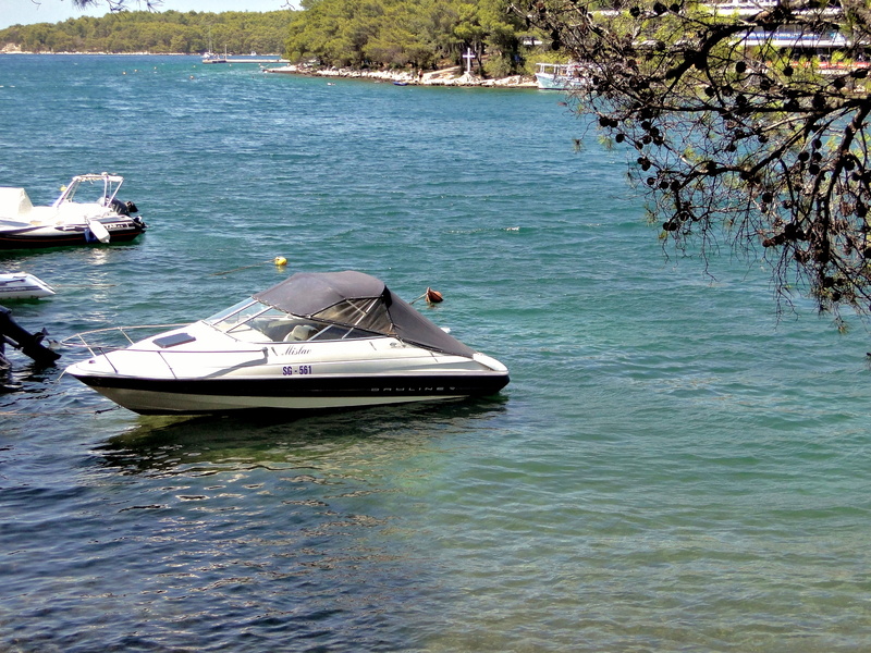 Tranquil Lake Scene with a Speedboat