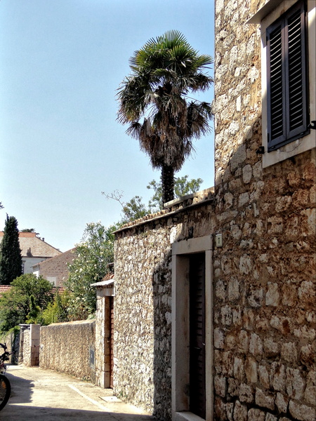 Coastal Town Street Scene