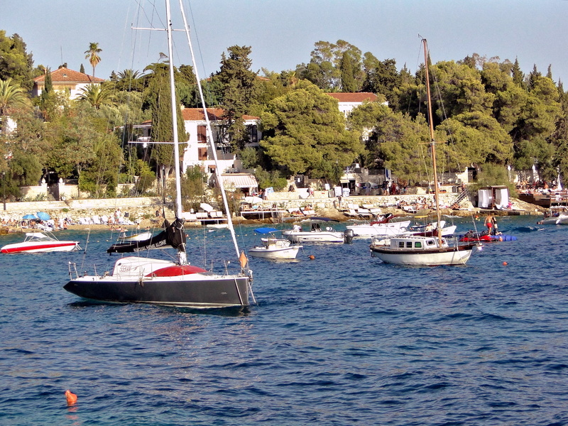 Scenic Harbor View with Sailing Boats