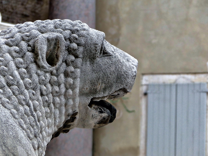 Croatian Lion Sculpture in Split