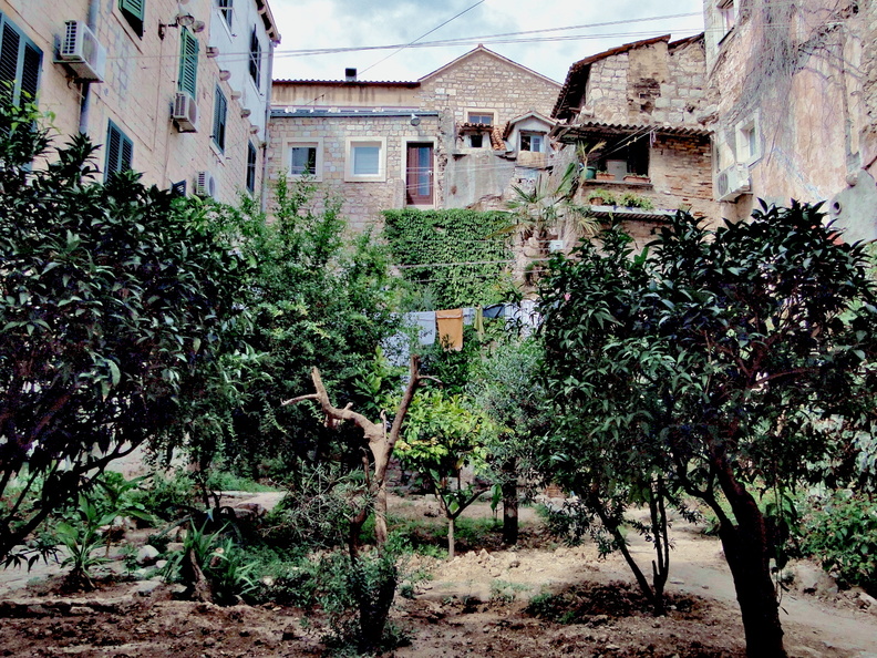 DSC03085.JPG
