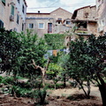 Urban Oasis: Community Garden in Split, Croatia